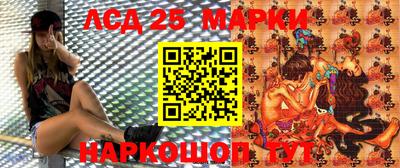крисы Севастополь